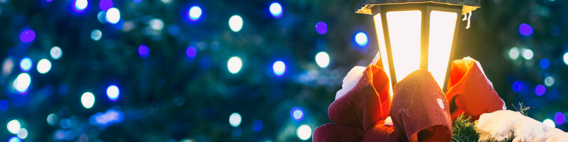 christmas light installers South Florida FL